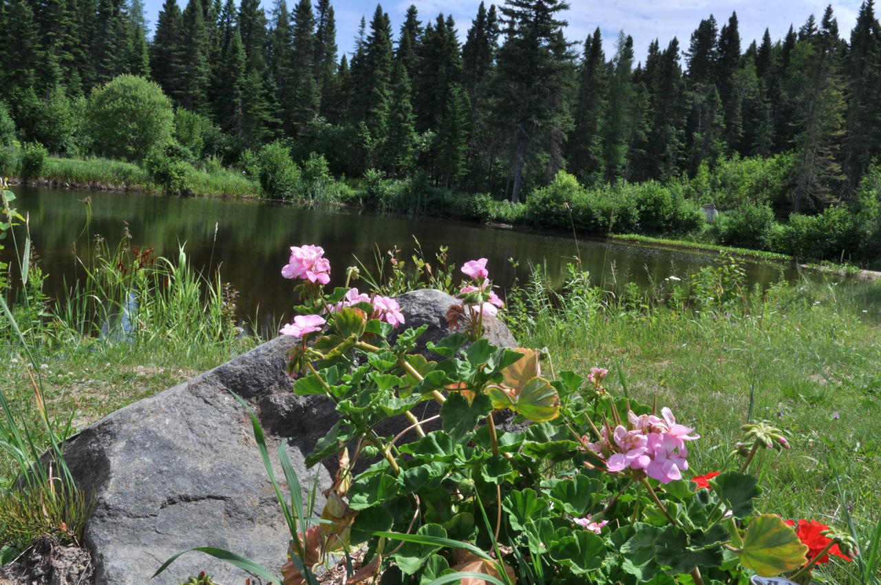 Gite De La Montagne Enchantee Metabetchouan-Lac-a-la-Croix Exterior photo